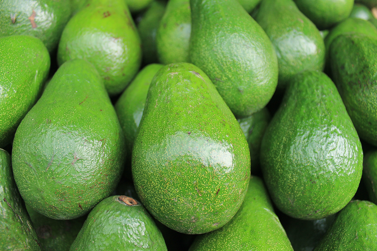 aguacates