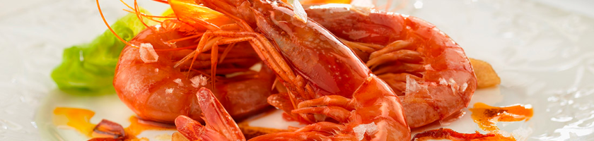 gamba-roja-mediana-la-sirena