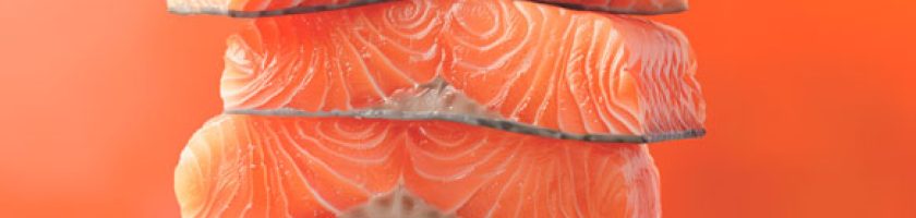 blog-salmon