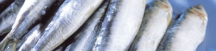 sardinas-salud-3